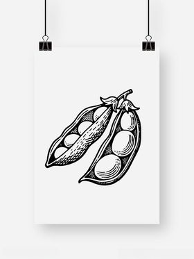 豆角豆荚绿色植物插画装饰素材