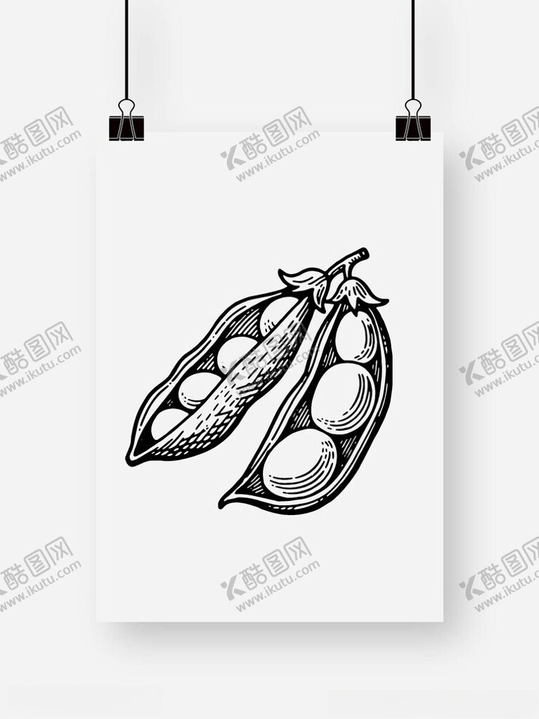 编号：55024209250837289312【酷图网】源文件下载-豆荚豌豆