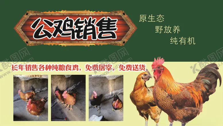 编号：11602404090544214324【酷图网】源文件下载-鸡名片鸡厂名片养鸡场