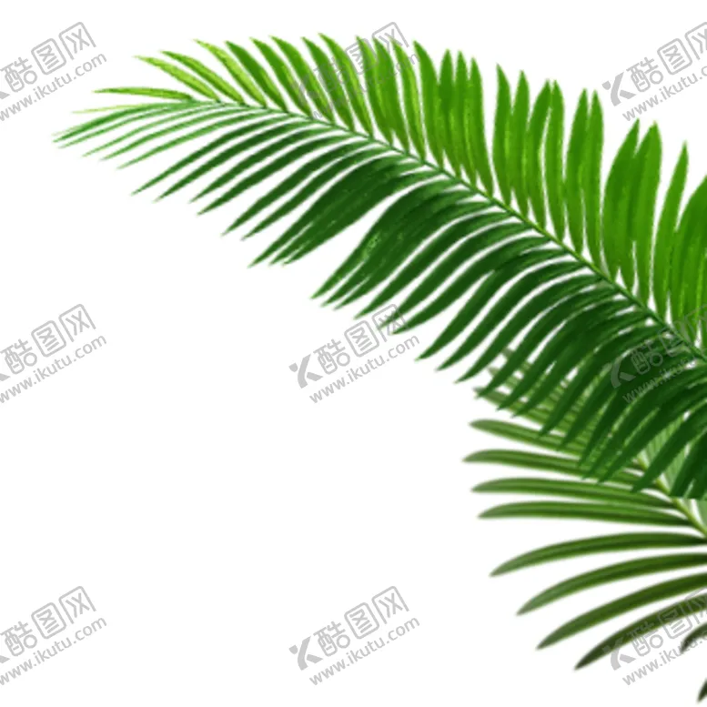 编号：61547904211634126415【酷图网】源文件下载-叶子