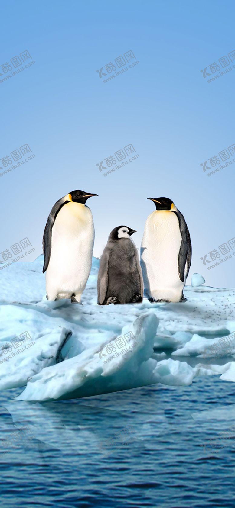 编号：19211909201847156048【酷图网】源文件下载-手机壁纸