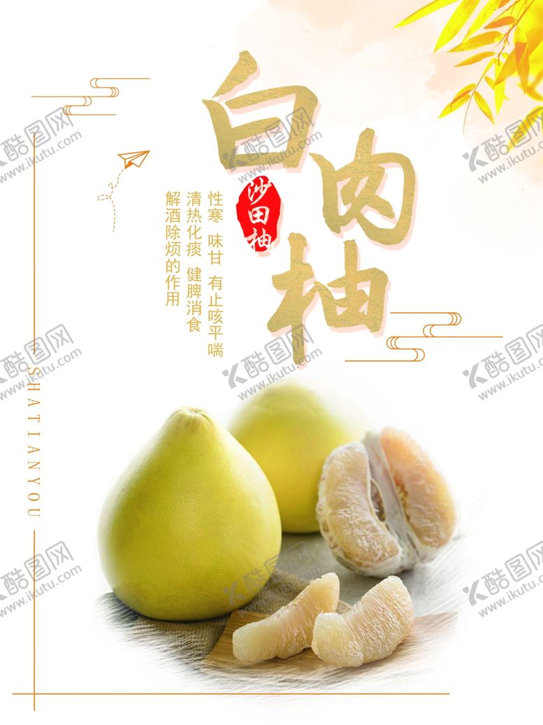 编号：21361210230042336527【酷图网】源文件下载-白肉柚沙田柚海报