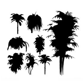 沙灘椰子樹風景剪影