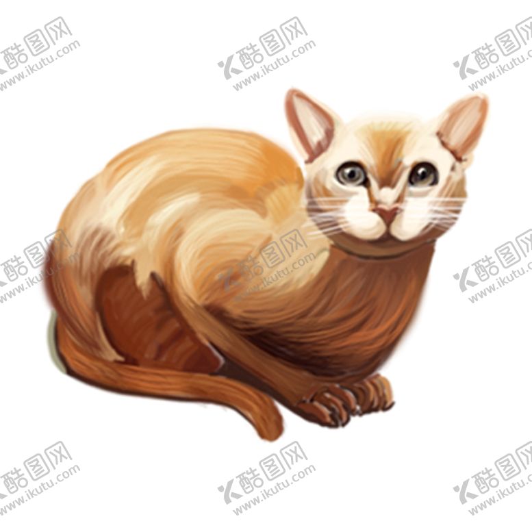 编号：65195610221945404464【酷图网】源文件下载-手绘猫