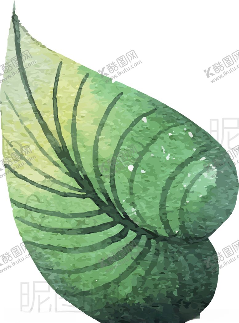 编号：78085707091821394218【酷图网】源文件下载-绿叶