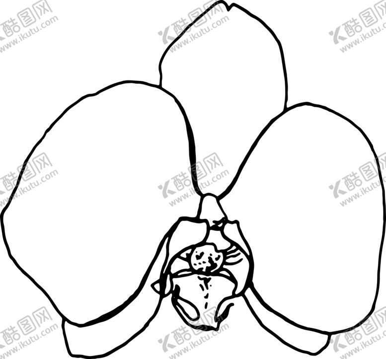 编号：95182007080844183755【酷图网】源文件下载-植物花朵装饰图案
