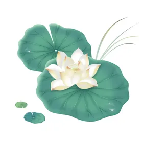 荷花元素装饰叶鲜手绘装饰