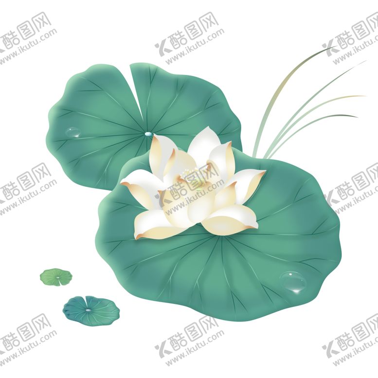 编号：89708904061331241538【酷图网】源文件下载-荷花元素