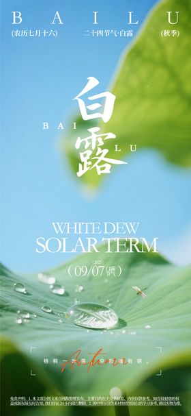 白露节气宣传海报