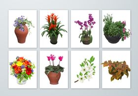 多样盆栽花卉艺术插画