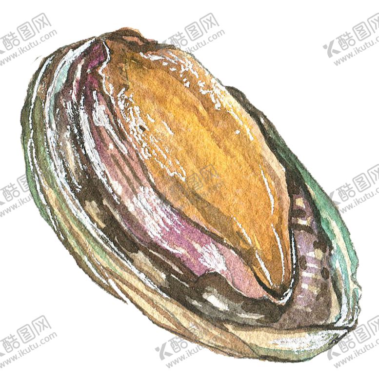 编号：97097907061644147394【酷图网】源文件下载-手绘鲍鱼