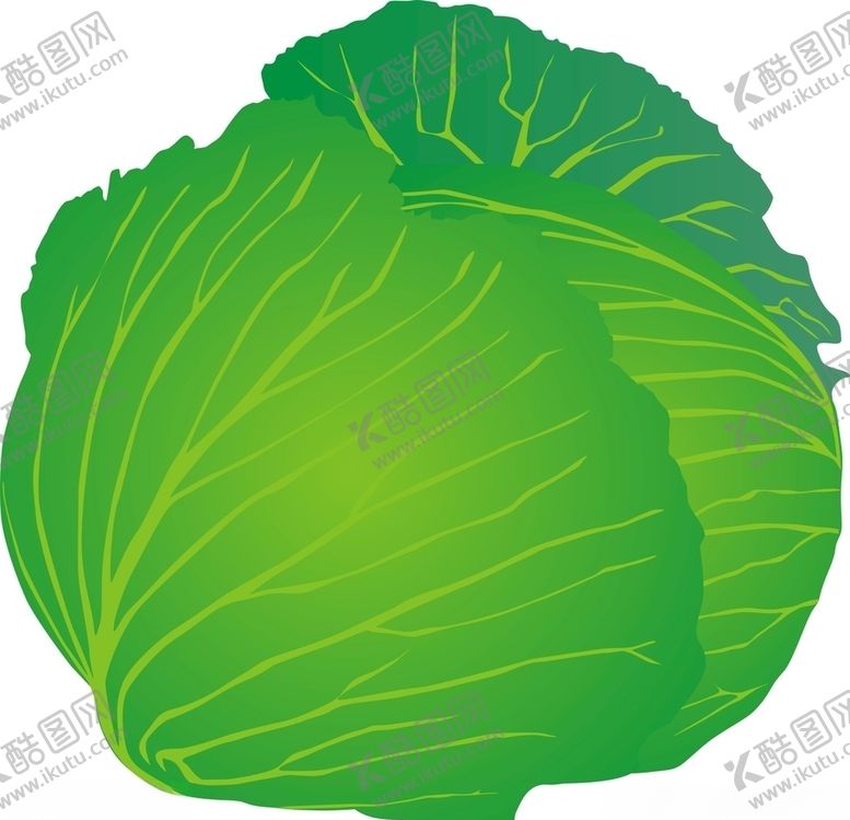 编号：60726107022218309388【酷图网】源文件下载-包菜