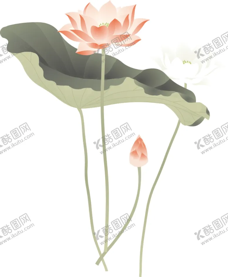 编号：75839609230829027051【酷图网】源文件下载-荷花