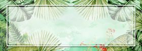 618ins夏季植物倒计时海报