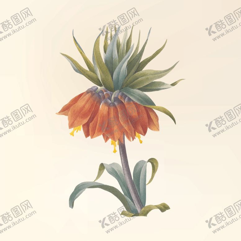 编号：33814007031541307759【酷图网】源文件下载-花纹