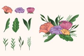 各种花朵手绘植物鲜卉插图