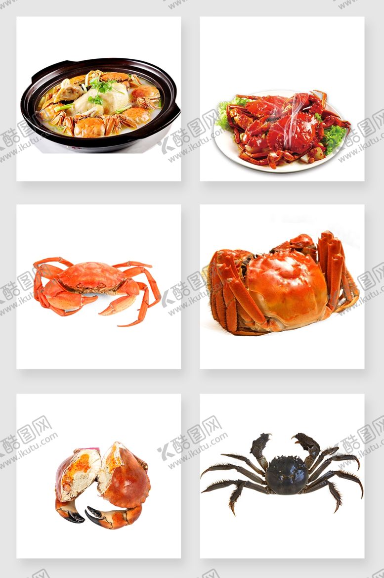 编号：50451812121224053146【酷图网】源文件下载-免扣大闸蟹素材