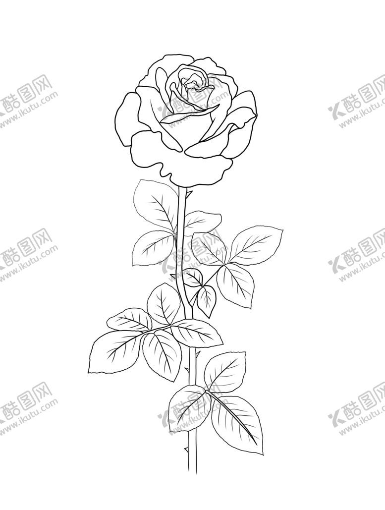 编号：85390109160718527470【酷图网】源文件下载-玫瑰花
