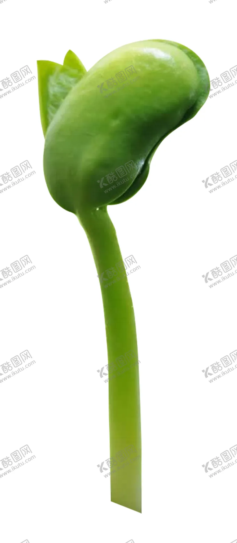 编号：95617304161626323930【酷图网】源文件下载-小草发芽