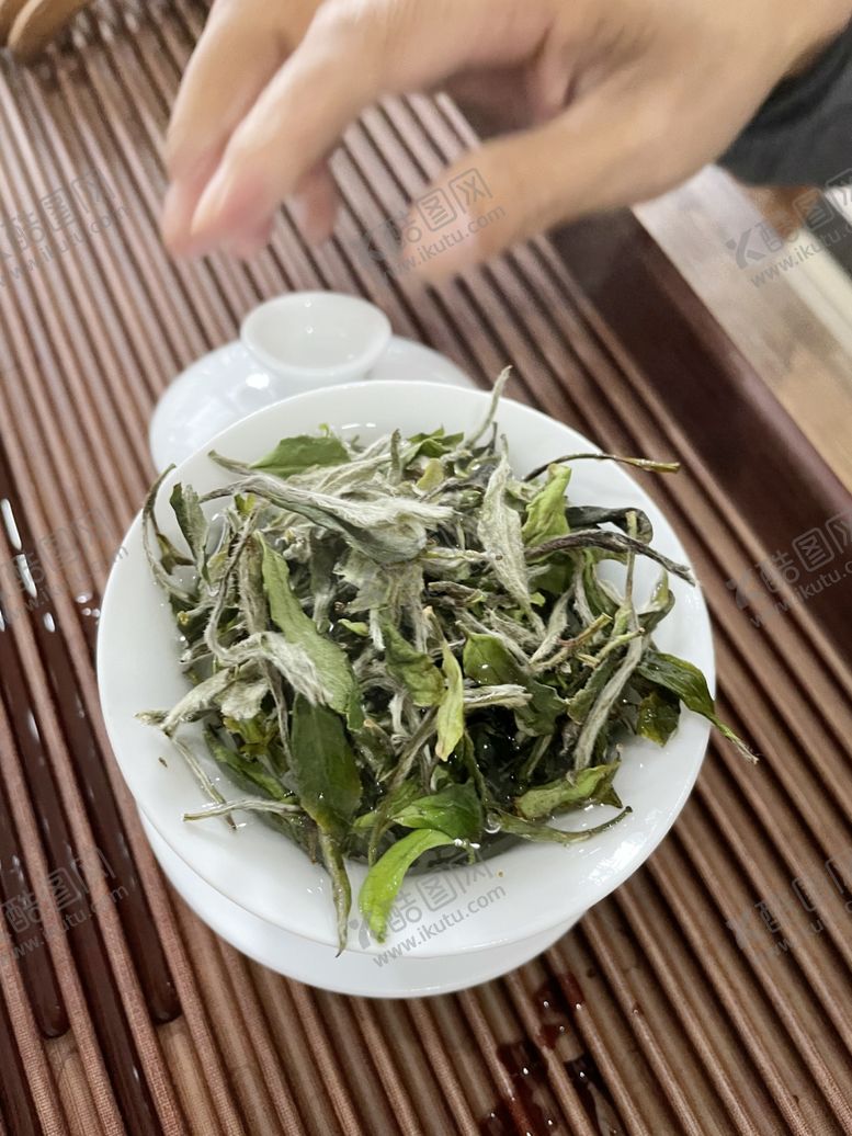 编号：76899512301156176742【酷图网】源文件下载-白牡丹