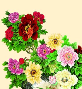 牡丹花