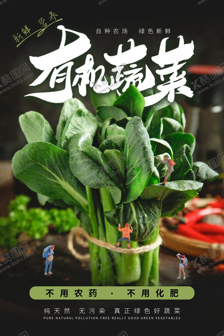 编号：66789209180400042030【酷图网】源文件下载-有机蔬菜食材食物超市菜品海报