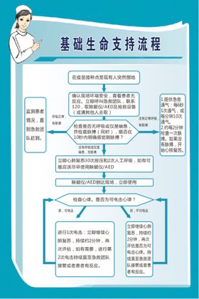 基础生命支持流程