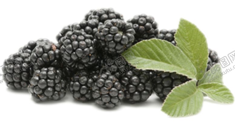 编号：74205109171915237673【酷图网】源文件下载-黑莓