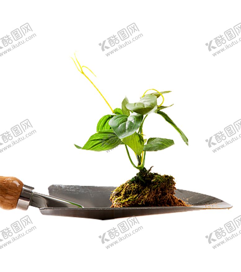 编号：74779207081859329783【酷图网】源文件下载-植物