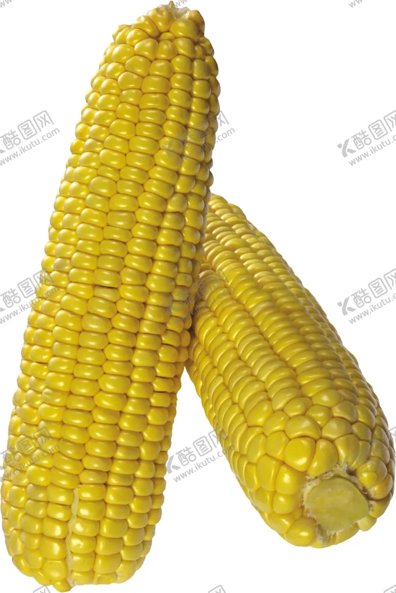 编号：48622712292009581236【酷图网】源文件下载-玉米图片