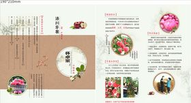 小折页