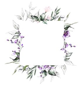 边框花图案花图案
