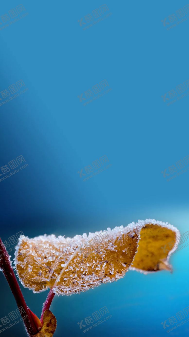 编号：91447406300301334389【酷图网】源文件下载-霜叶