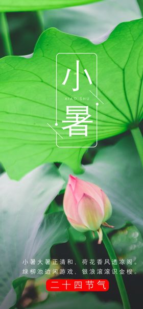 小暑节气图片