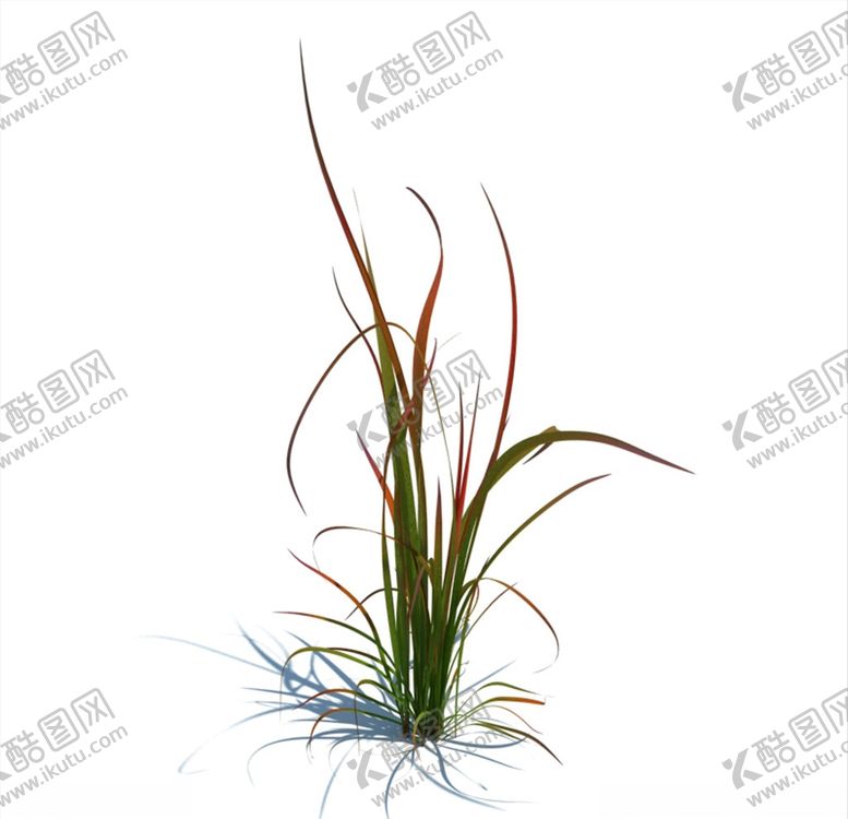 编号：35914209262312415616【酷图网】源文件下载-荸荠