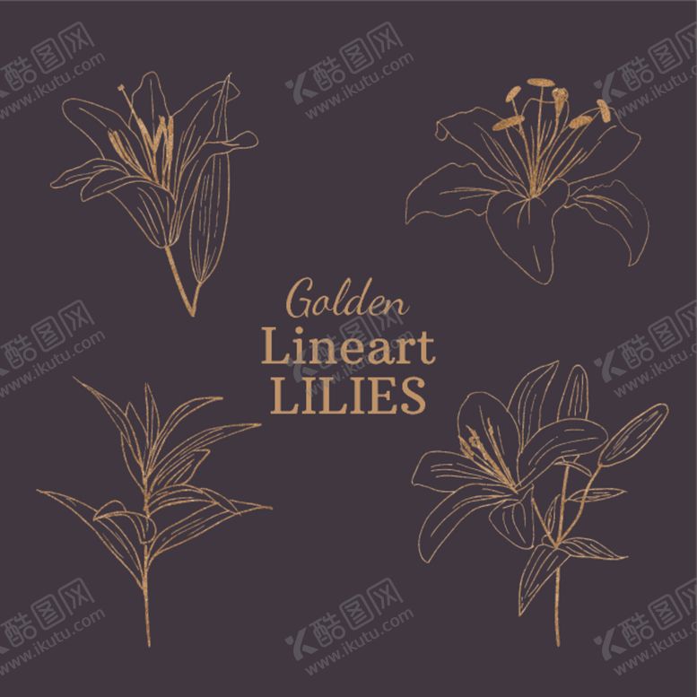 编号：40150709211431084754【酷图网】源文件下载-线描植物