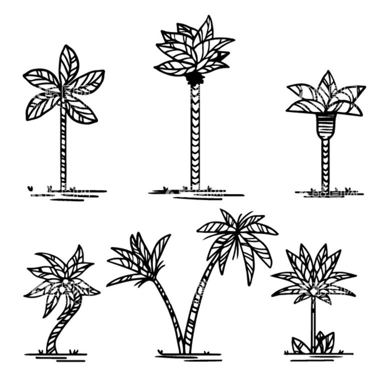 编号：46098112031753429431【酷图网】源文件下载-棕榈树