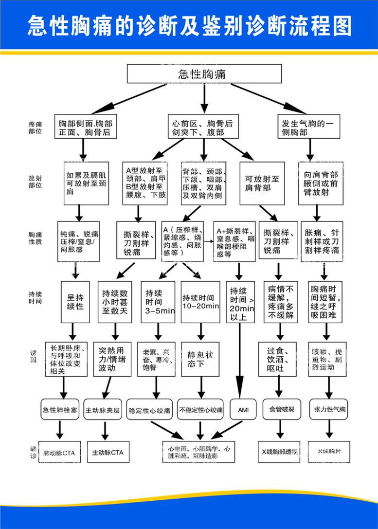 编号：32525410282013115552【酷图网】源文件下载-急性胸痛的诊断及鉴别诊断流程图