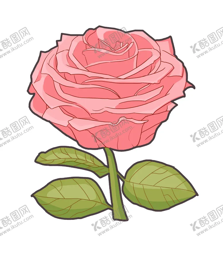 编号：47059109300932004321【酷图网】源文件下载-玫瑰花