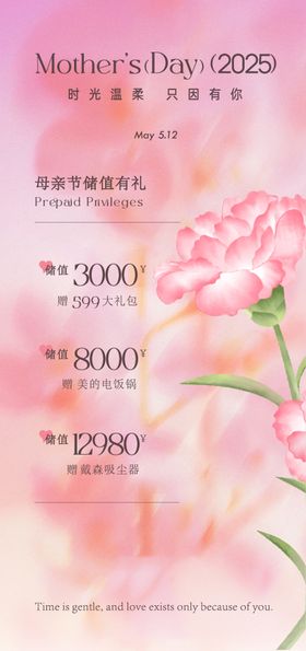 母亲节康乃馨玫瑰花情人节粉色优惠券菜