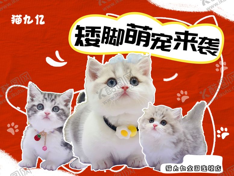 编号：85454806142141013883【酷图网】源文件下载-宠物海报