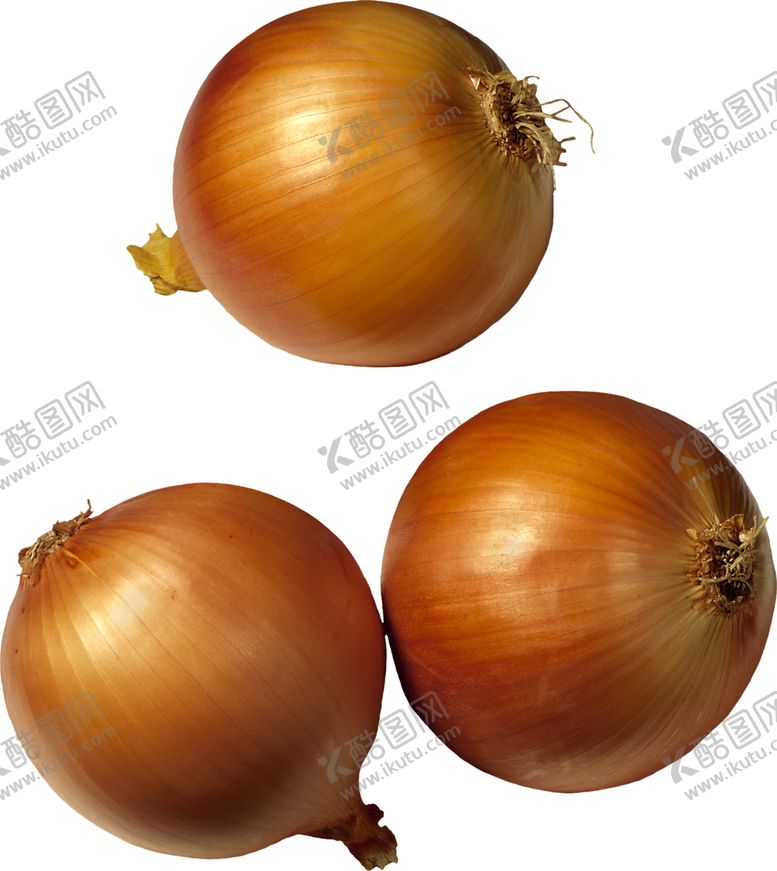 编号：49687110201322521878【酷图网】源文件下载-洋葱
