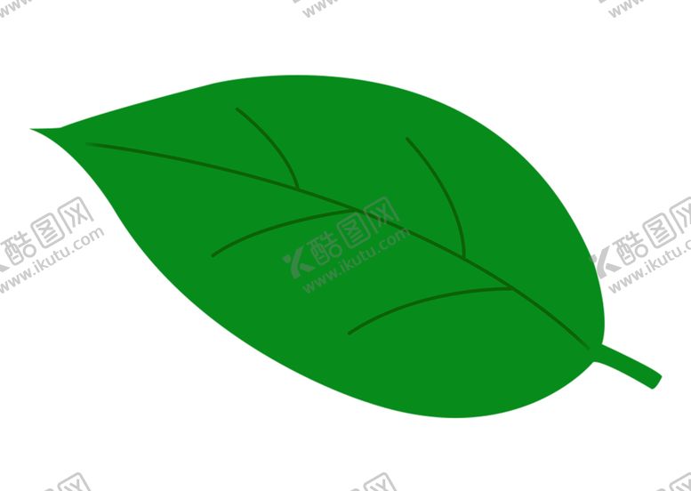编号：83304907040104044624【酷图网】源文件下载-绿色相框