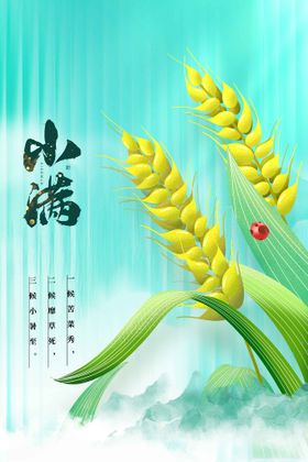 小满海报活动节气素材