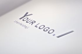 logo样机
