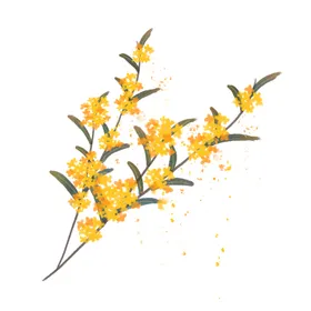 手绘桂花png免抠素材鸟八月糕