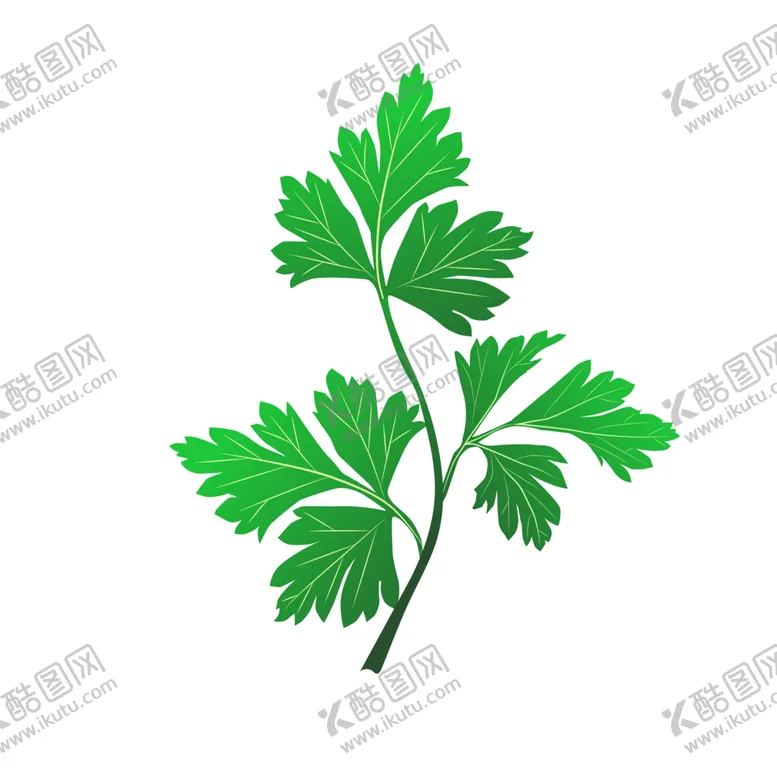 编号：50838702071320479056【酷图网】源文件下载-整颗艾草植株