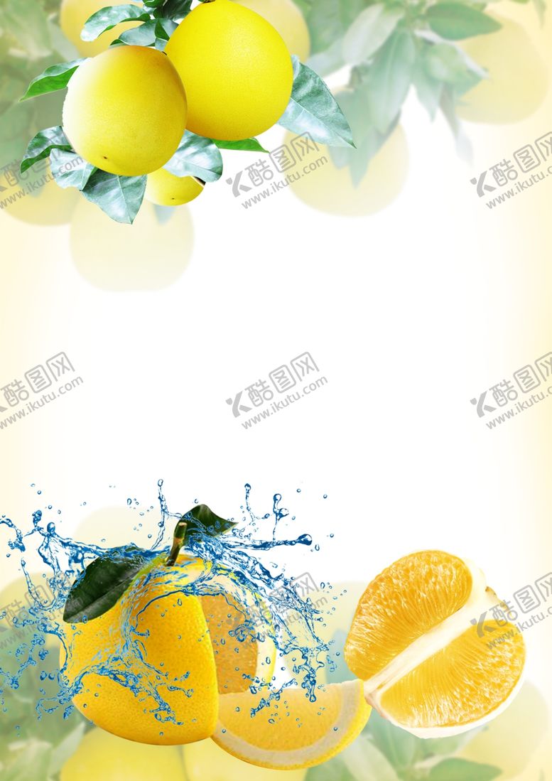 编号：31933001140347491635【酷图网】源文件下载-沙田柚背景