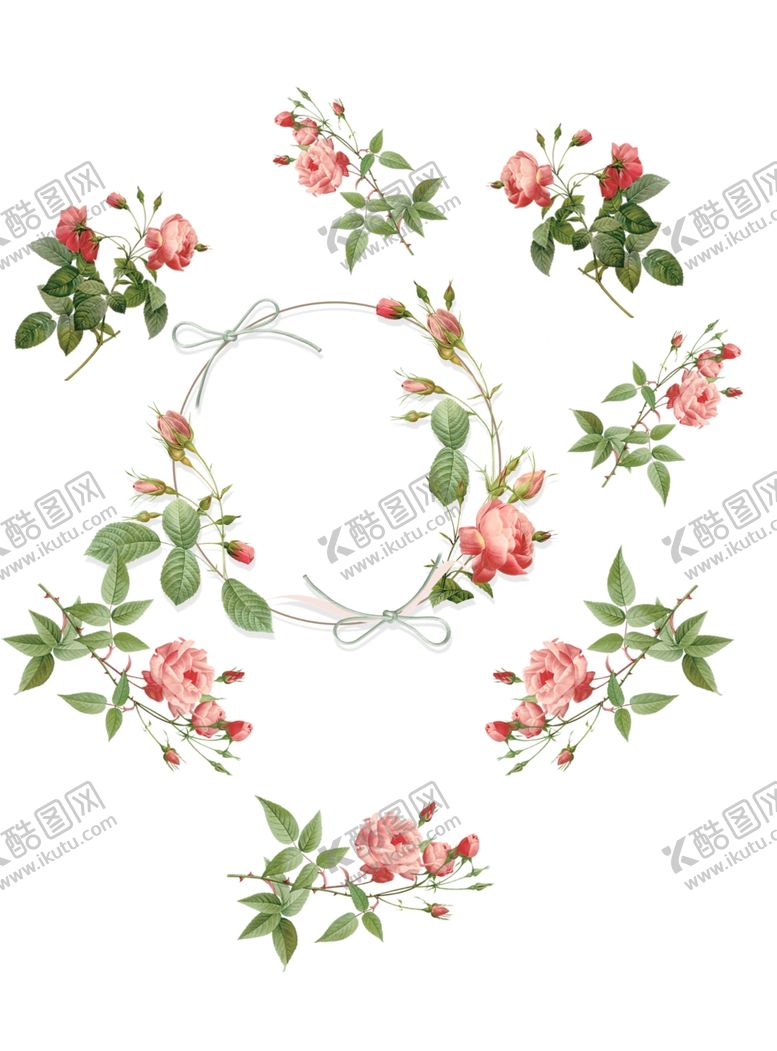 编号：30547012100053301635【酷图网】源文件下载-玫瑰花