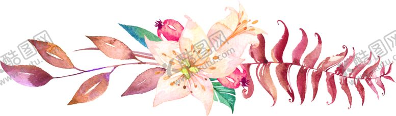 编号：32482007091232343745【酷图网】源文件下载-水彩手绘花卉花朵植物